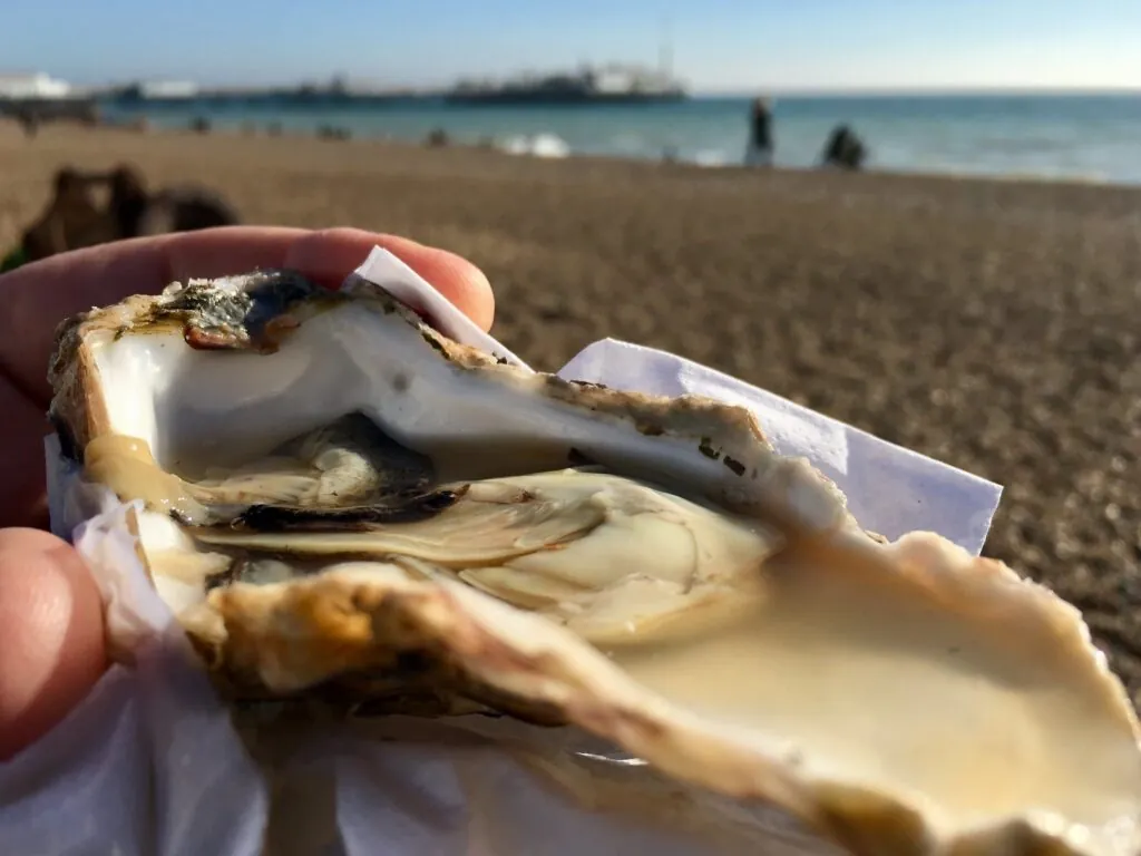 carlingford oyster festival