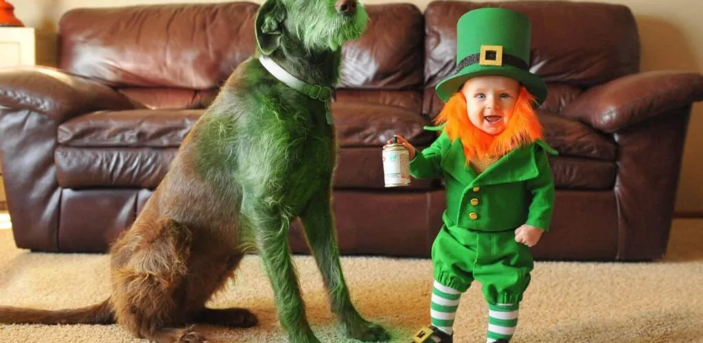 Quand un papa déguise son fils en leprechaun... voilà ce que ça donne ! 1 Le bébé leprechaun de Thatdadblog
