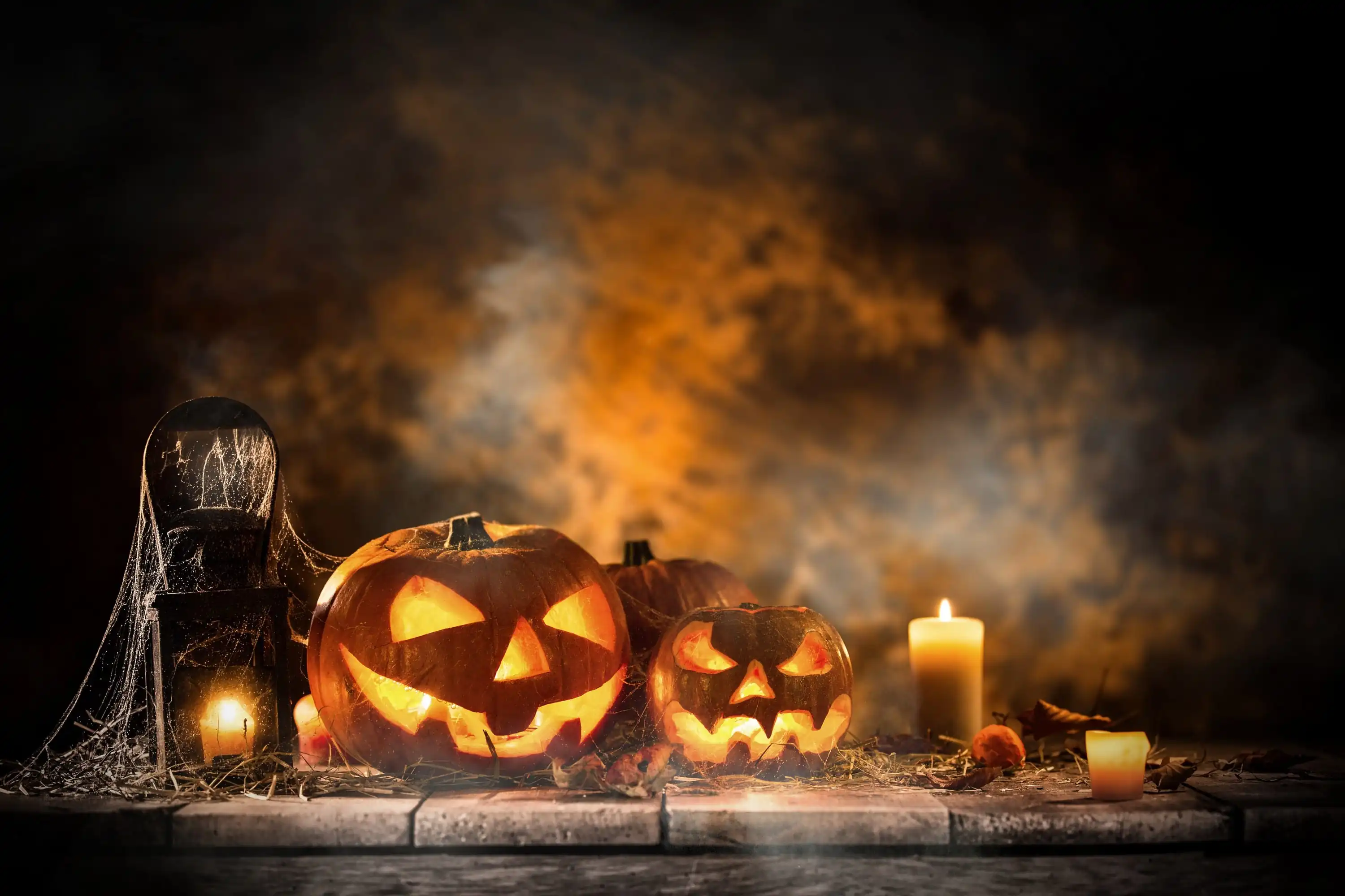 Des citrouilles Jack O'Lantern pour Halloween - © Lukas Gojda