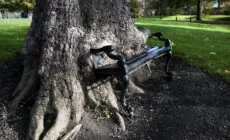 Le Hungry tree - © yuplex