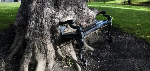 hungry tree