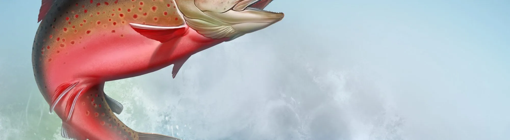 Le saumon de la connaissance