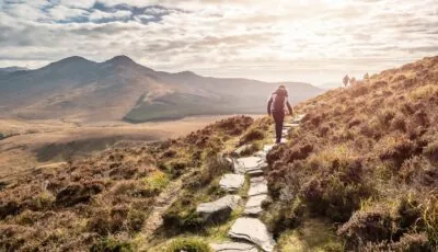La Connemara Way - © mark_gusev