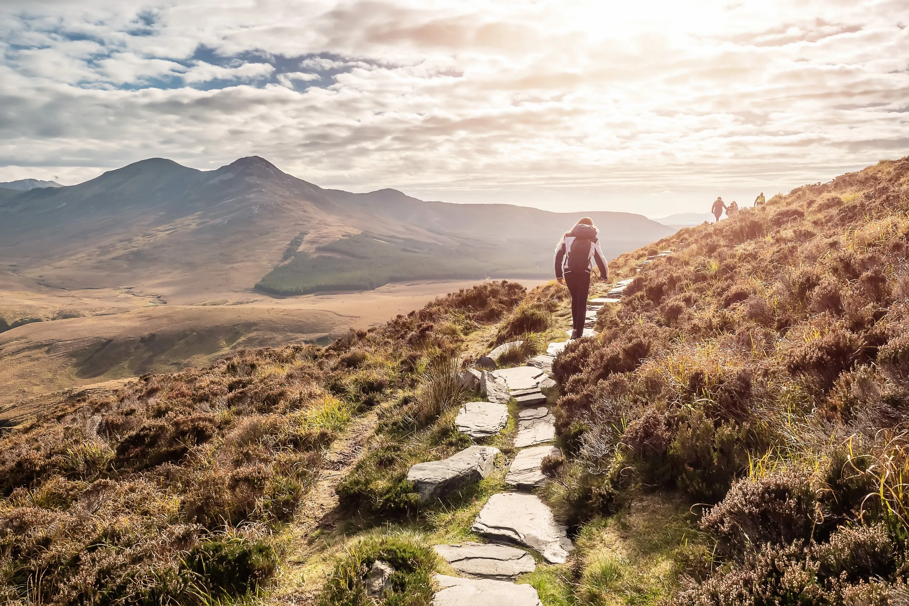 La Connemara Way - © mark_gusev