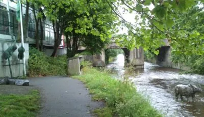 Le Dodder Rhino - jwd - cc