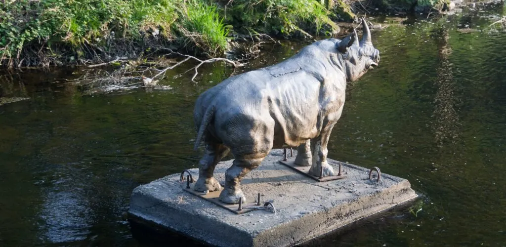 dodder rhino