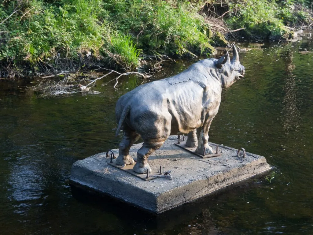 Le Dodder Rhino de Dublin - William Murphy - cc