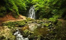 La Glenoe Waterfall - © Aleksei Demitsev
