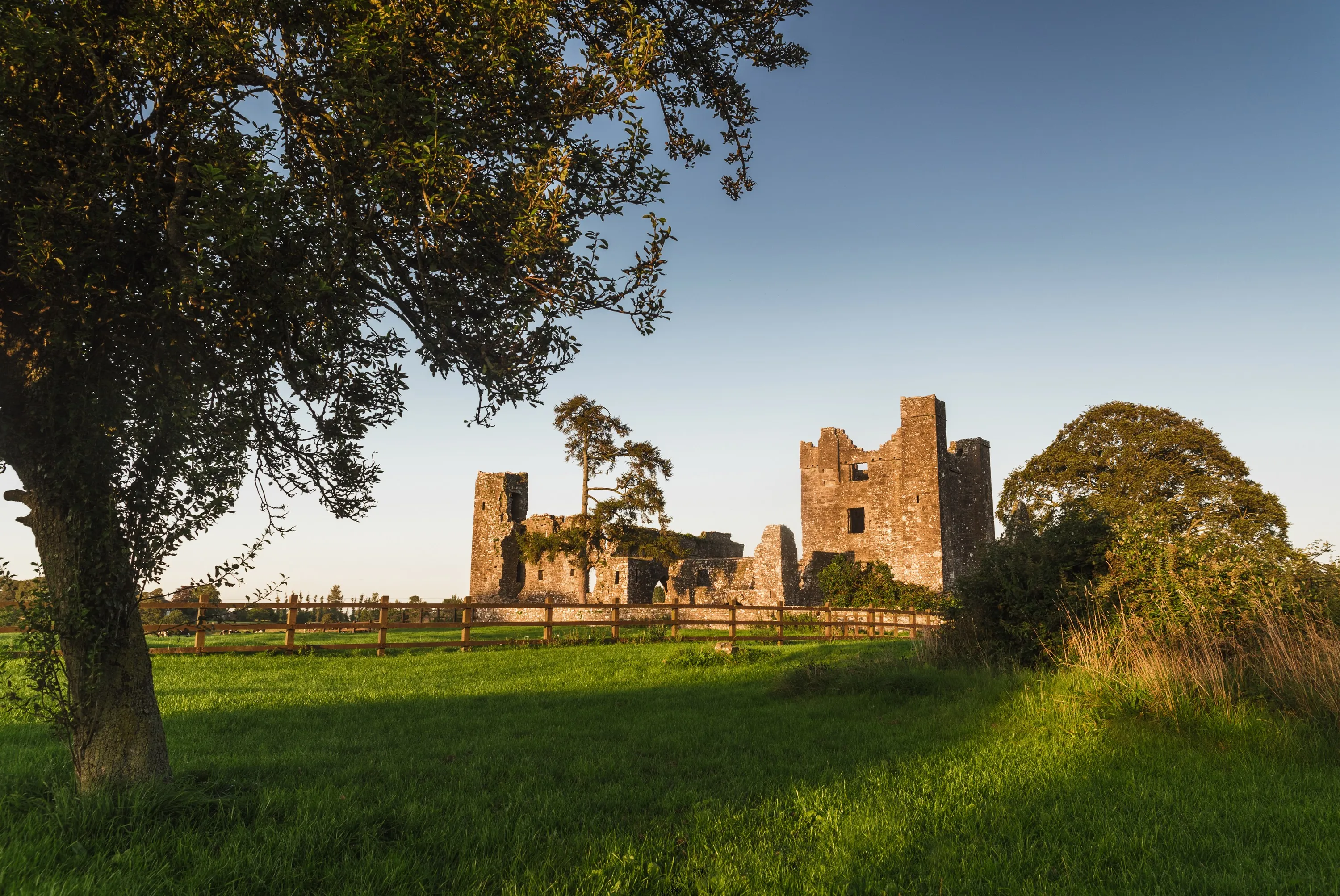 La Bective abbey - © Rubende Antonio