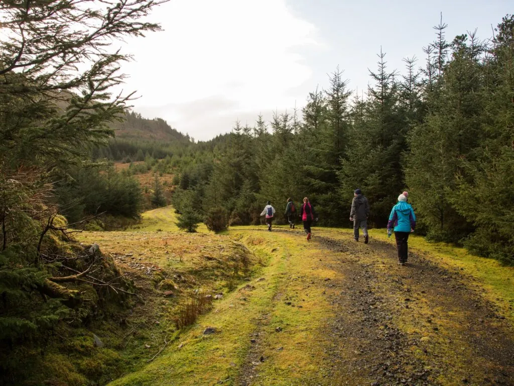 Le Letterkeen Loop Trail Head - © Darren Moran