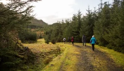 Le Letterkeen Loop Trail Head - © Darren Moran