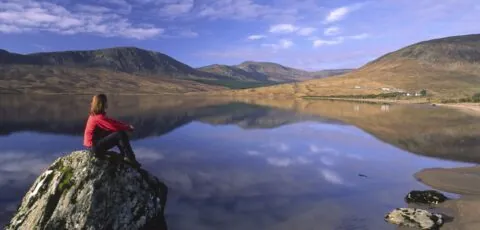 nephin beg