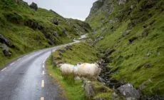 Le Ballaghbeama Gap - © Shawn