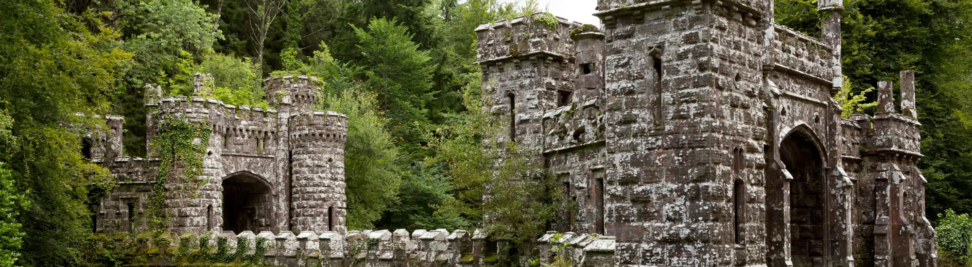Les Ballysaggartmore towers