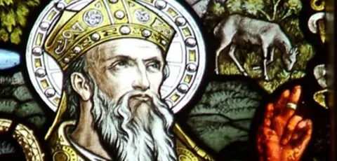 saint finbarr