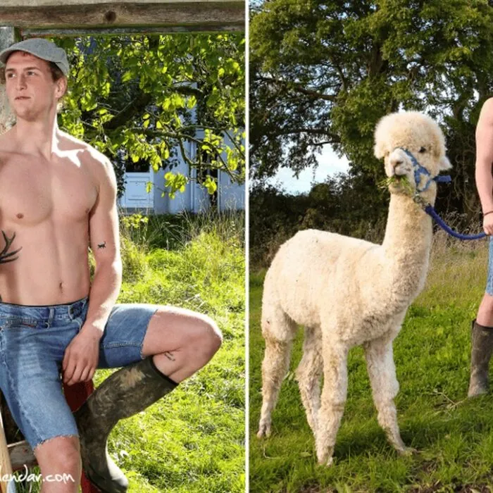 Le Irish farmer calendar 2023