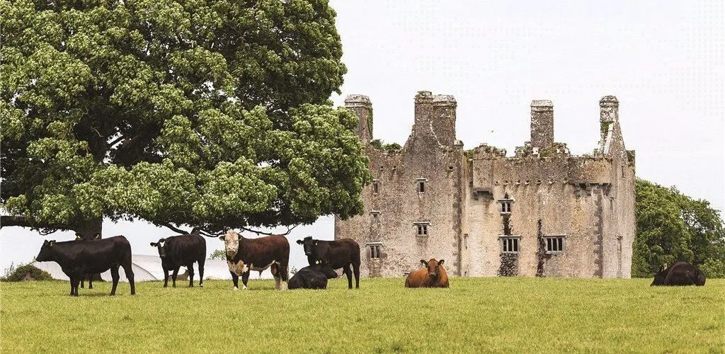 Un château irlandais du XVIème siècle, en vente pour plus de 8 millions d&rsquo;euros !