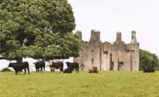 Le Killaleigh castle - MyHome.ie