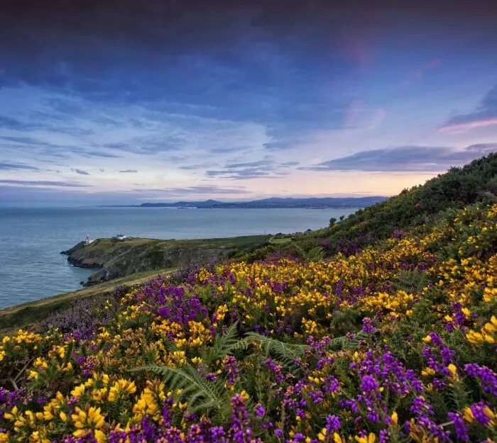 De Dublin: excursion d'une demi-journée en bus sur la côte de Howth avec guide