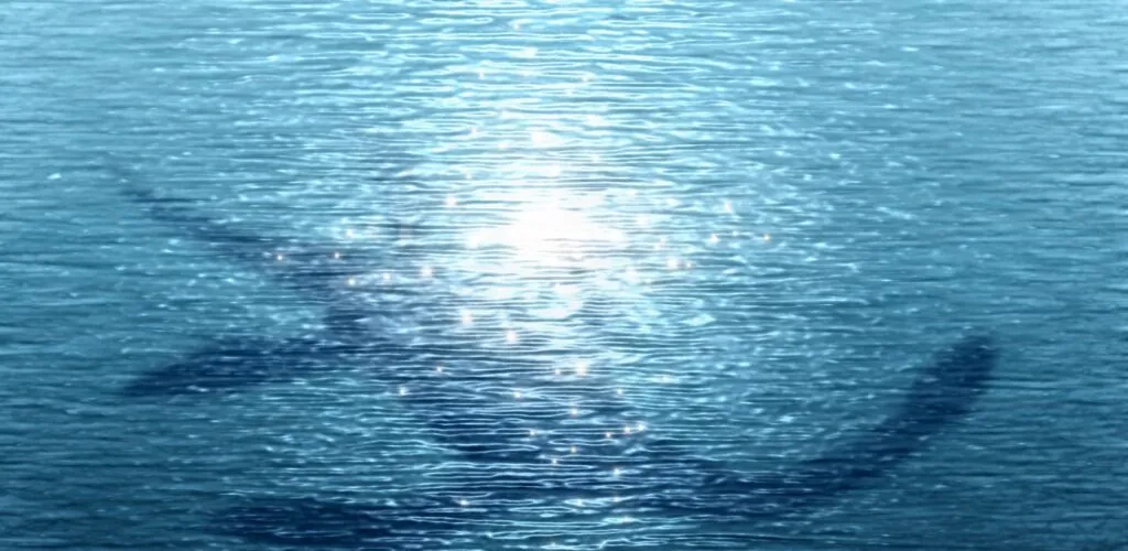 Un monstre du Loch Ness irlandais hanterait-il les eaux en Irlande ?
