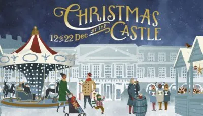 The Dublin Castle Christmas market