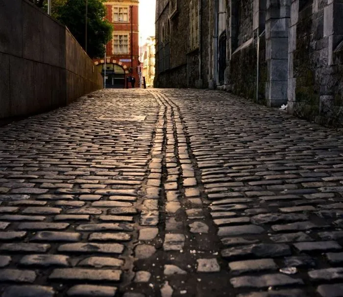 Pubs, nourriture et histoire : Visite de dégustation de nourriture et de boissons à Dublin