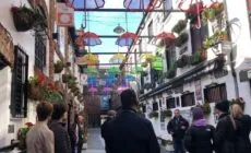 Best of Belfast Walking Tour