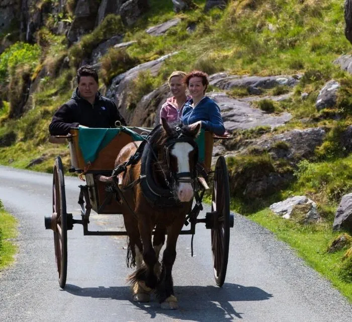 Excursion en bateau à Gap of Dunloe et aux lacs de Killlarney