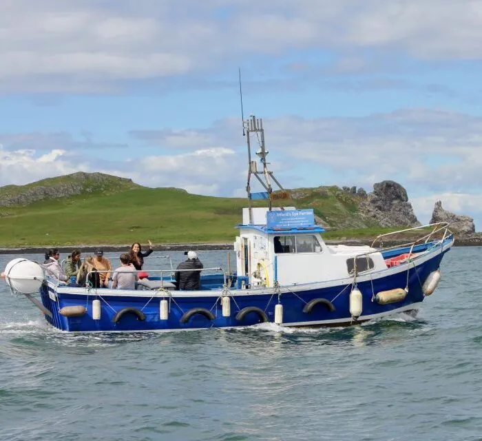 Excursion en bateau sur la côte de Howth