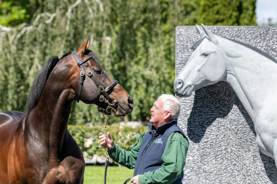 getyourguide kildare