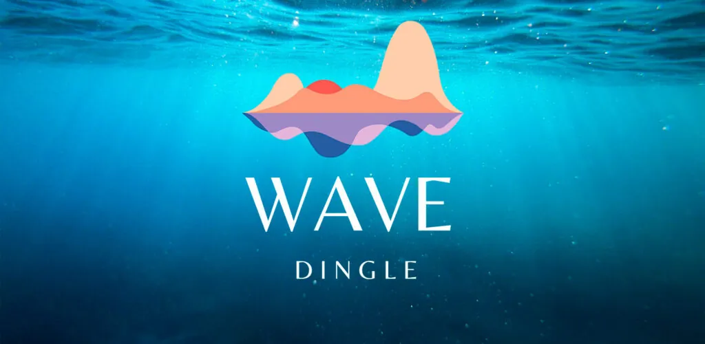wave dingle