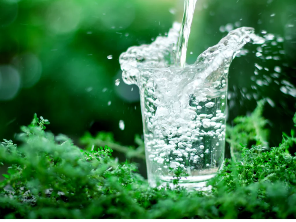 eau robinet