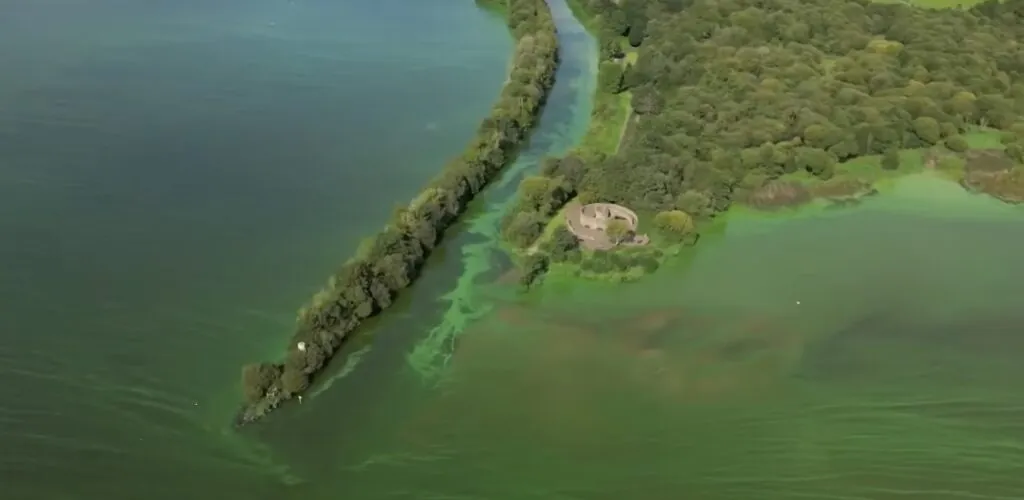 Choc climatique : le Lough Neagh, plus grand lac d&rsquo;Irlande en péril