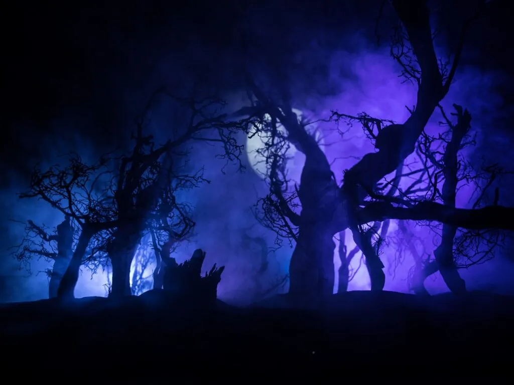 Comment prononce-t-on le mot Samhain ? - © zef art