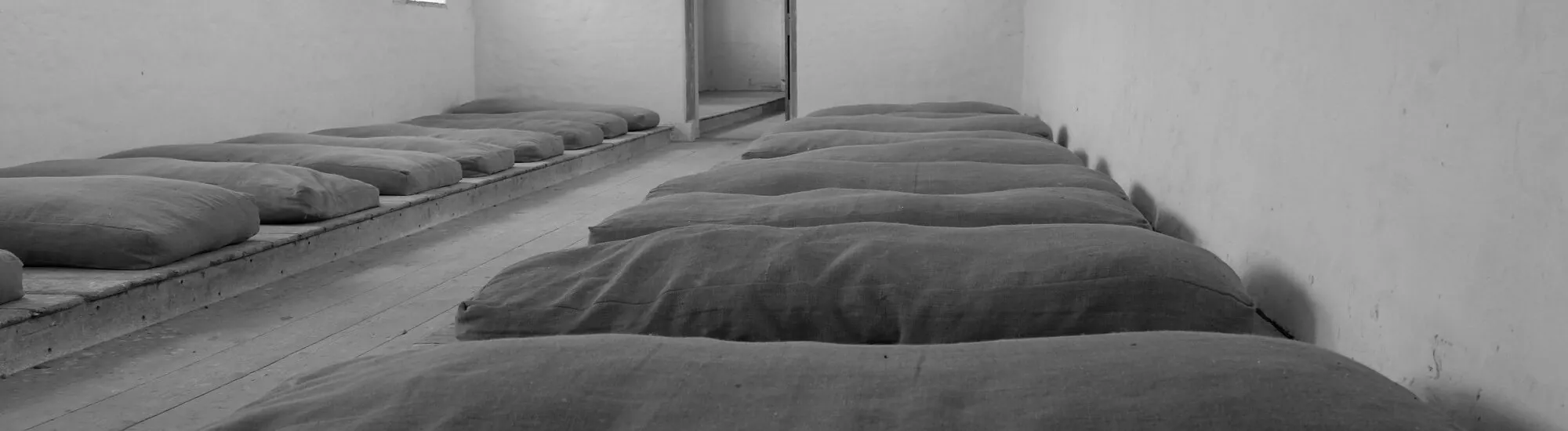 The Irish Workhouse Centre