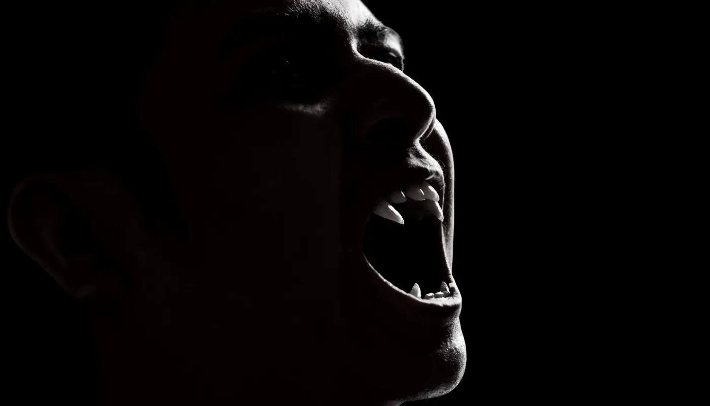 Dracula, de Bram Stoker - © fotokitas
