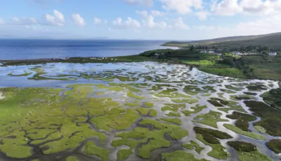 Mulranny Salt Marsh © Big Style Media - Fáilte Ireland