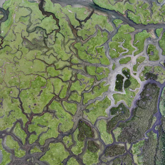 Mulranny Salt Marsh © Big Style Media - Fáilte Ireland