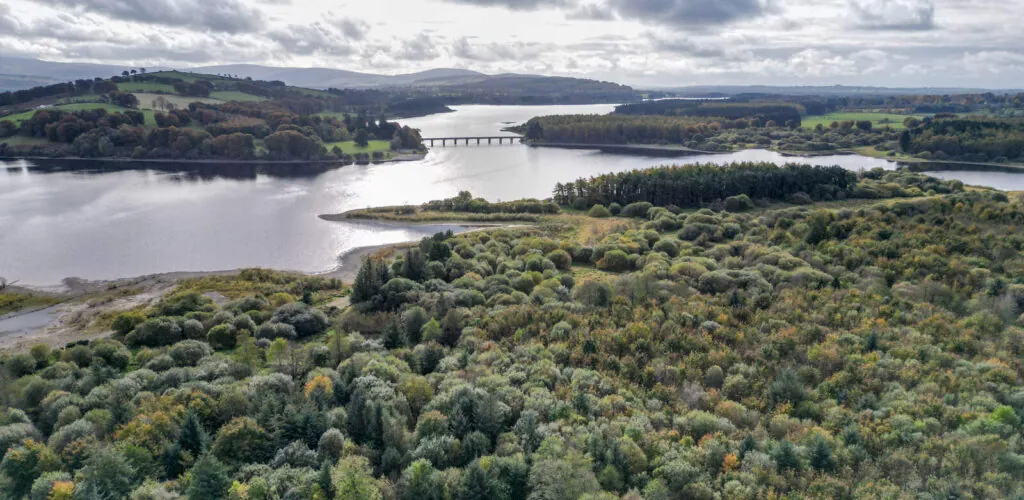 poulaphouca reservoir