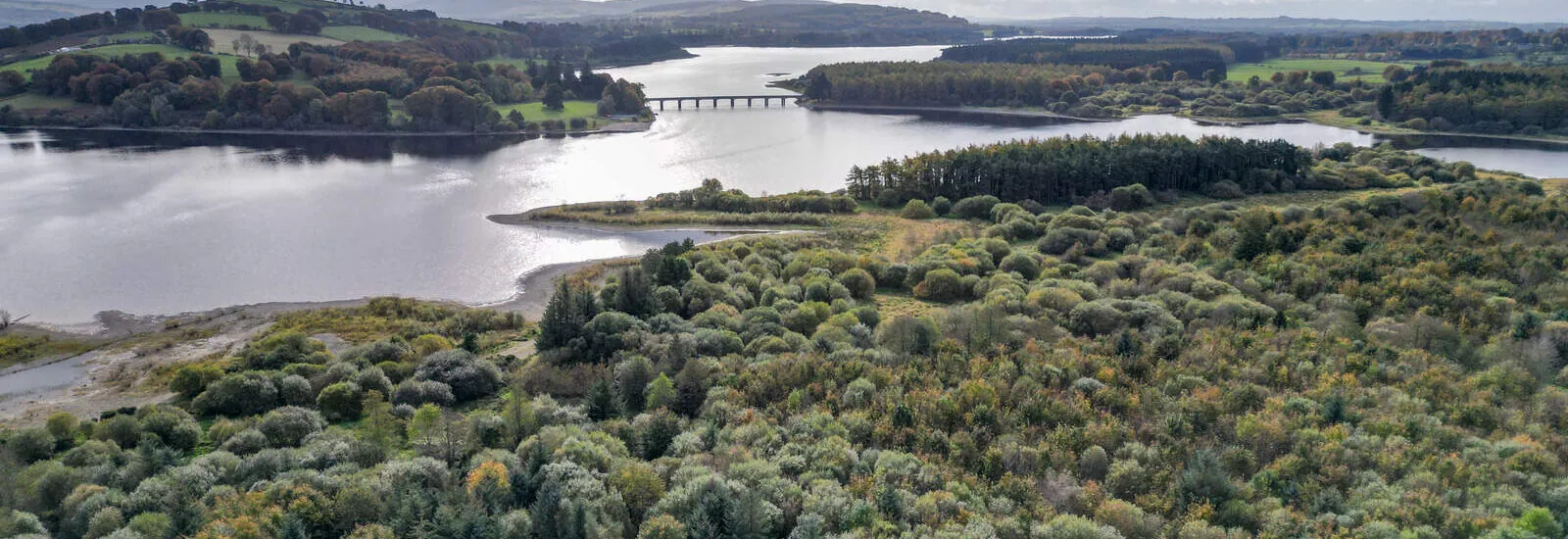 Le Pollaphuca Reservoir