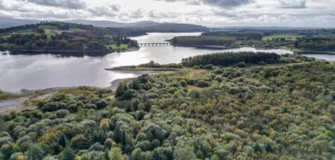 poulaphouca reservoir