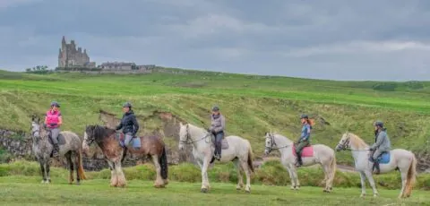 classiebawn equestriennes