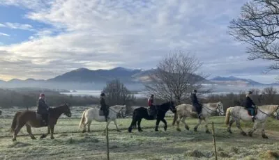 Des chevaux du Killarney Riding Stables - Letitia Wade - ©Failte Ireland 