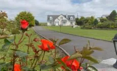 Bayview Country House B&B
