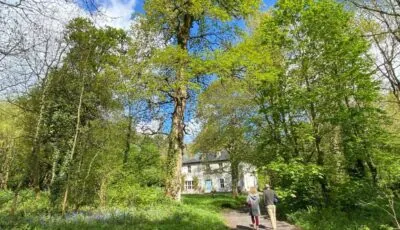 Blackhill Woods Retreat