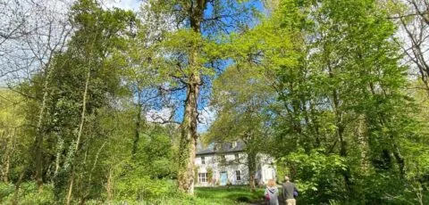 Blackhill Woods Retreat