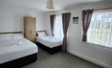 Bright elegant room park view
