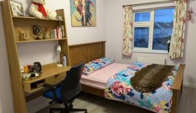 Budget Friendly King Room