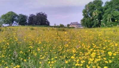 Castletownmoor Clinic & Permaculture Farm
