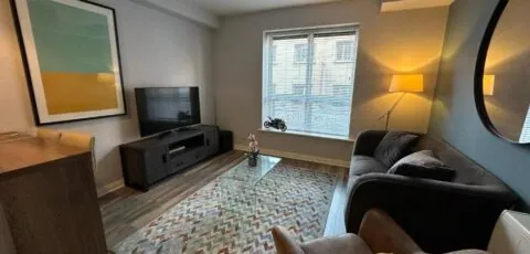 Comfortable and Modern City Apartment